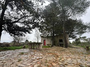CASA INDIPENDENTE A ALTAMURA