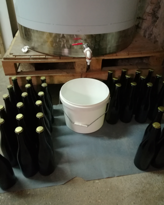 Vino Merlot