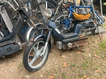 Piaggio si e califfone rizzato