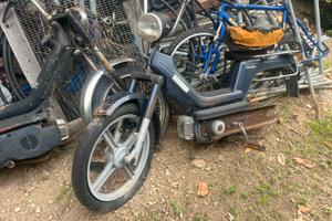 Piaggio si e califfone rizzato