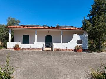 Villa con terreno coltivazione uliveto