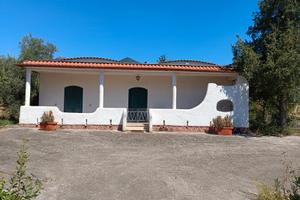 Villa con terreno coltivazione uliveto