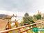 Immagine 14