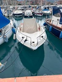 Barca a Motore 6m Italmar motore Honda 135CV