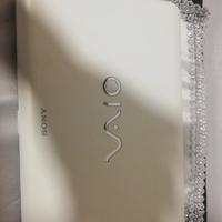  Sony vaio 10.1
