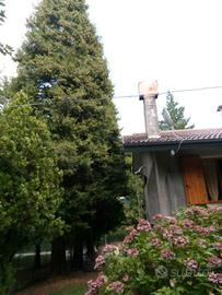 Immobile in asta di 165 m² con 5 locali e box auto