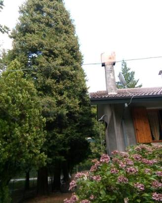 Immobile in asta di 165 m² con 5 locali e box auto