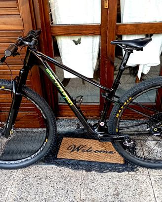 Lee Cougan Innova tg S/M esc.30 mm  carbon boost
T