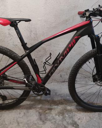 mtb front OLYMPIA IRON 29 carbonio