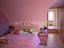 Immagine 8