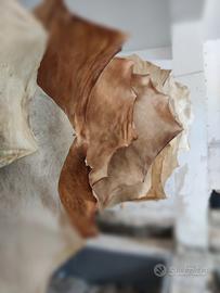 Pelli per Tammorre e tamburelli