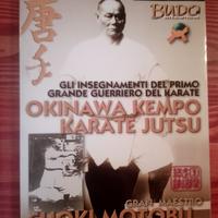 Okinawa Kempo Karate Jutsu