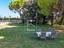 Immagine 11