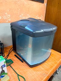 Acquario