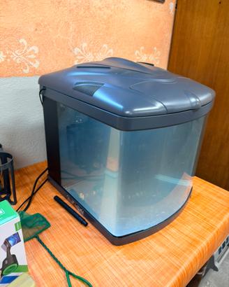 Acquario