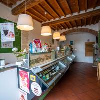 Gelateria artigianale in centro a pisa