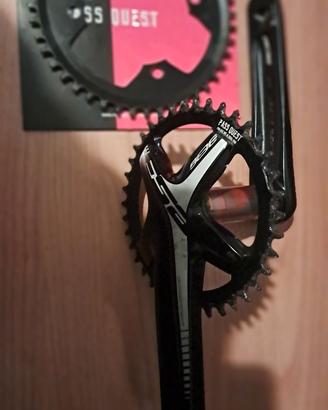 Monocorona FSA