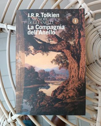 La compagnia dell'anello Tolkien 