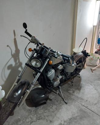 SHADOW - VT600 - ASI