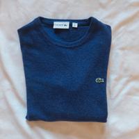 maglione marca lacoste