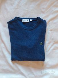 maglione marca lacoste