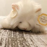 Peluche gatto