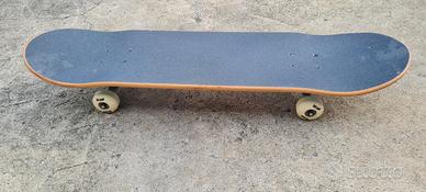skateboard tony howk
