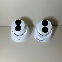 Telecamere finte
