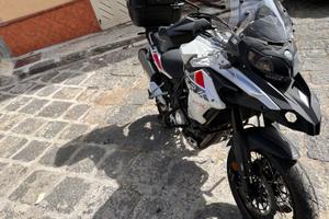 Benelli TRK 502 - 2019