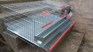 GABBIA PER QUAGLIE OVAIOLE DA 90CM