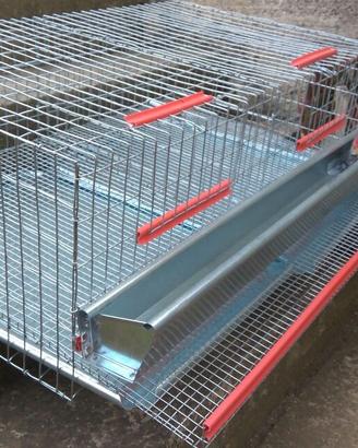 GABBIA PER QUAGLIE OVAIOLE DA 90CM