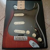 FENDER CUSTOM SHOP TEXAS SPECIAL 