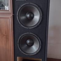 casse diffusori acustici