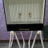 gabbia per uccelli 