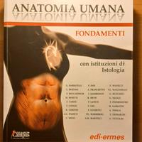 Anatomia Umana