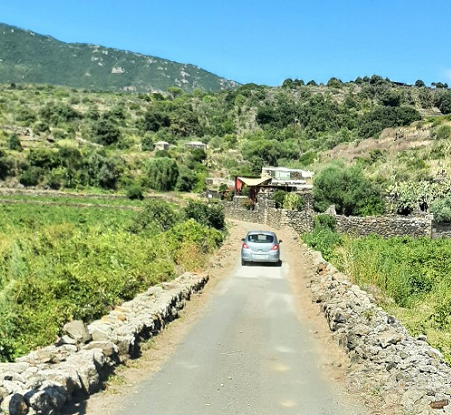 DAMMUSO A PANTELLERIA CON TERRENO DA 8.000MQ. - Vista 5