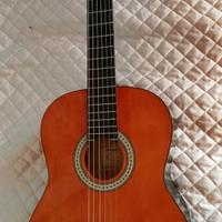 chitarra Sheffield 