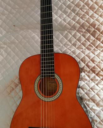 chitarra Sheffield 