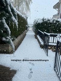 Vacanze sulla neve last minute