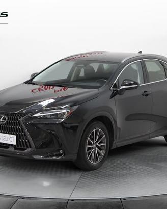 Lexus NX 350h 2.5 Business 4wd 244cv e-cvt