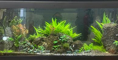 Acquario 100-40-30 come da foto