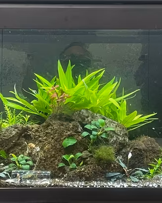 Acquario 100-40-30 come da foto