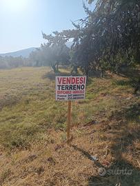 TERRENO EDIFICABILE 