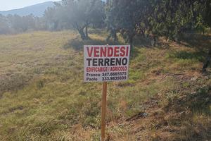 TERRENO EDIFICABILE 