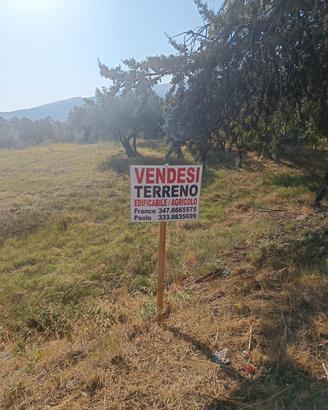 TERRENO EDIFICABILE 