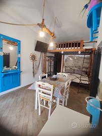 Monolocale ideale per casa vacanze ma non solo