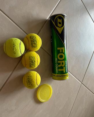 Palline da tennis