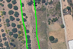 Uliveto mq 7000,con rustico 14 mq, zona Porcara