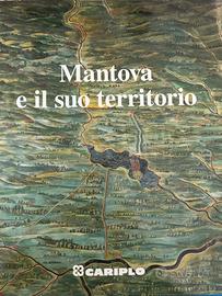 Mantova e il suo territorio