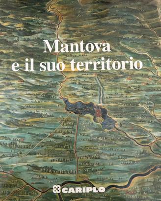 Mantova e il suo territorio